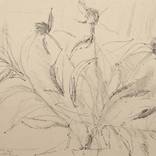 Untitled SOLD by Gorszky Roxana