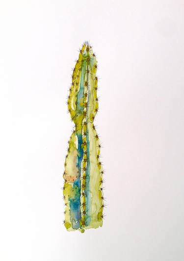 Columnar Cacti Viridi Cactus thumb