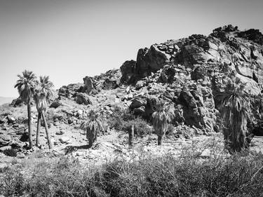 Desert Landscape - Limited Edition 1 of 25 thumb