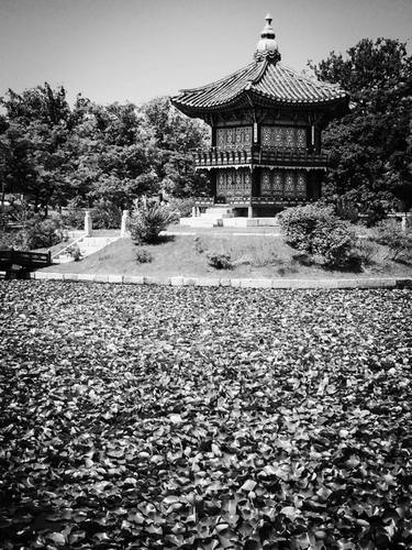 Gyeongbokgung Palace, Pagoda on a Lily Pond - LTD ED of 25 thumb