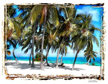 Original Beach Photography by Linda Olsen