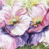 Summer's Kiss by Janine van der Kaaij-Kruijmer