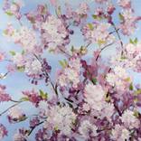 Spring Blossom by Janine van der Kaaij-Kruijmer