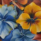 Collection Ben & Lisa Ideas