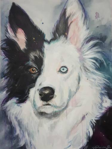 24 by 36 Border Collie original acrylic painting on stretched canvas
