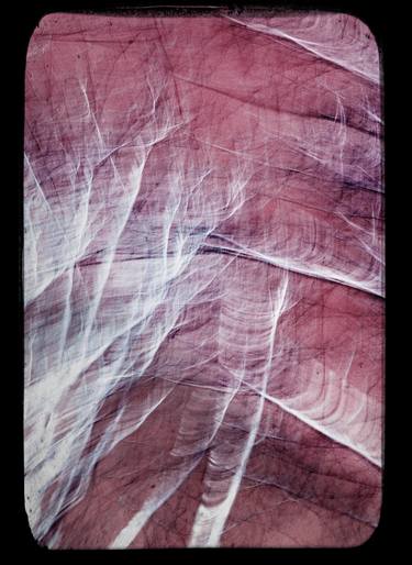 Original Abstract Landscape Photography by Stefan Neubauer