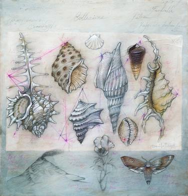 Print of Nature Drawings by Alexander Daniloff