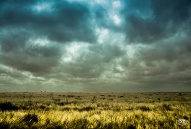 Nullarbor thumb