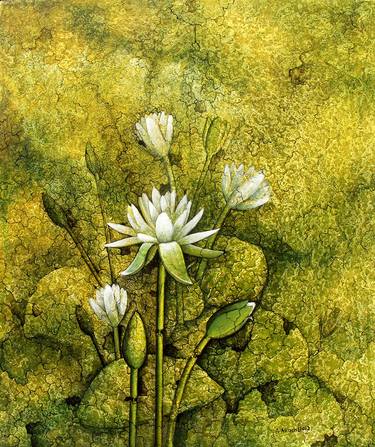 Print of Nature Paintings by Amjad Akash