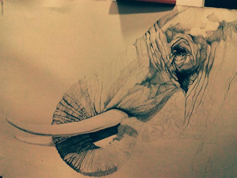 Original Figurative Animal Drawing by Jose Parra-Moreno