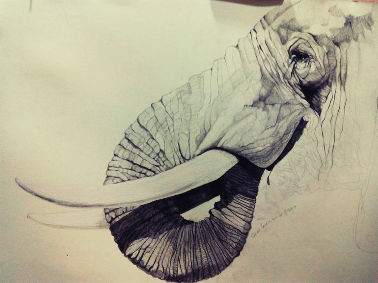 Original Figurative Animal Drawing by Jose Parra-Moreno