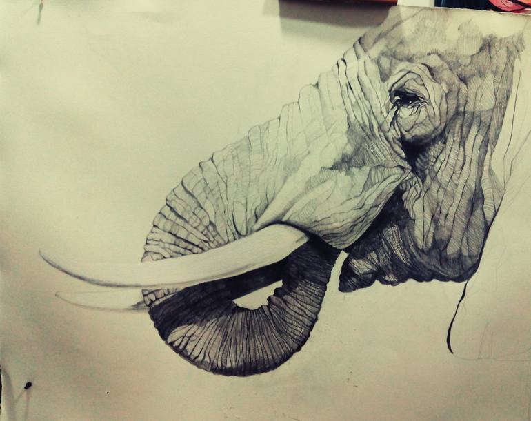 Original Figurative Animal Drawing by Jose Parra-Moreno