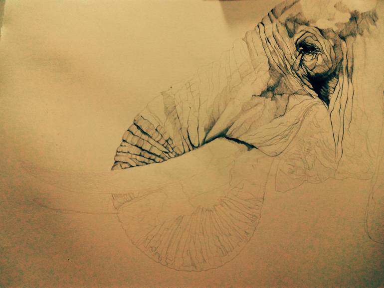 Original Figurative Animal Drawing by Jose Parra-Moreno