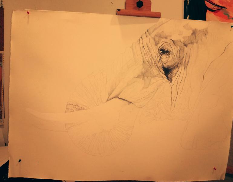 Original Figurative Animal Drawing by Jose Parra-Moreno