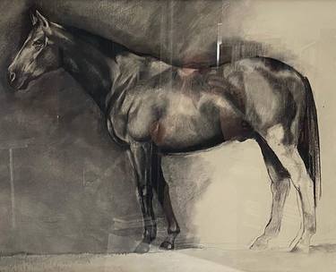 Original Figurative Horse Drawings by Jose Parra-Moreno