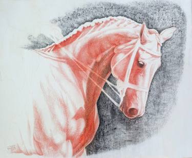 Print of Horse Drawings by Nebojsa Ruzic Varda
