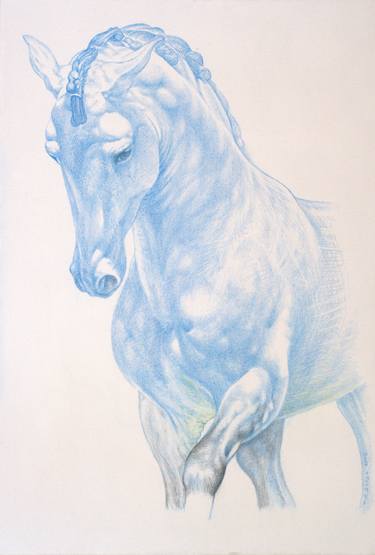Original Figurative Horse Drawings by Nebojsa Ruzic Varda