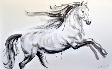 Original Figurative Animal Drawings by Nebojsa Ruzic Varda