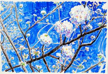 Original Impressionism Floral Drawings by Nebojsa Ruzic Varda