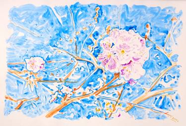 Original Impressionism Floral Drawings by Nebojsa Ruzic Varda