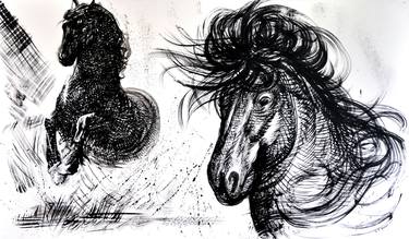 Print of Animal Drawings by Nebojsa Ruzic Varda