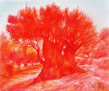 Original Expressionism Landscape Drawings by Nebojsa Ruzic Varda