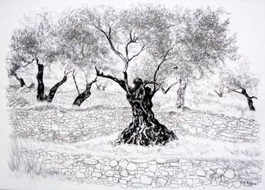 Original Landscape Drawings by Nebojsa Ruzic Varda
