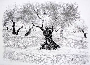 Print of Landscape Drawings by Nebojsa Ruzic Varda