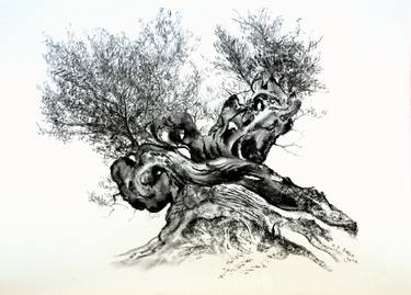 Original Figurative Tree Drawings by Nebojsa Ruzic Varda