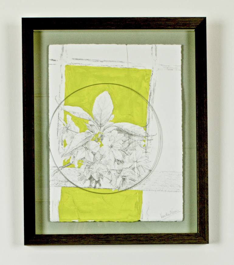 Original Impressionism Botanic Drawing by Venetia Norris