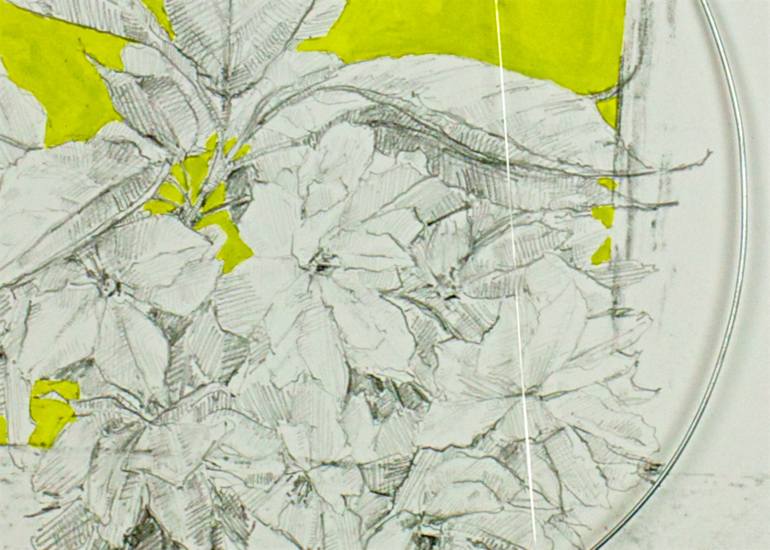 Original Impressionism Botanic Drawing by Venetia Norris
