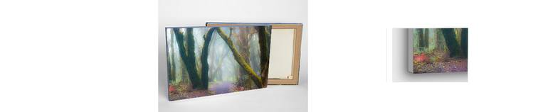 Original Other Landscape Photography by Dr Martín Roberto Raskovsky