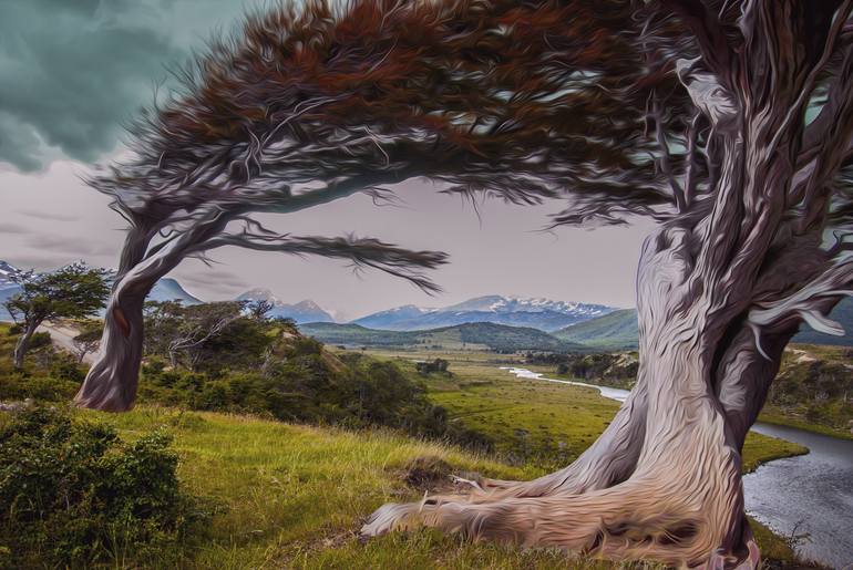 View in a Room Artwork