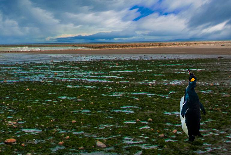 Original Impressionism Landscape Photography by Dr Martín Roberto Raskovsky