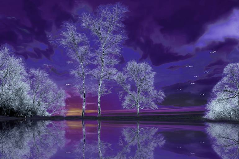 Purple Reflection - Limited Edition of 30 Photography by Dr Martín ...