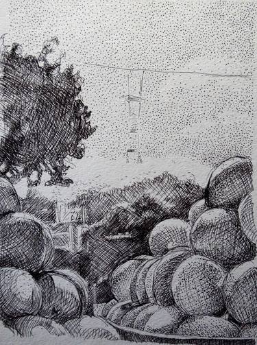 Original Landscape Drawings by Carina Lomeli