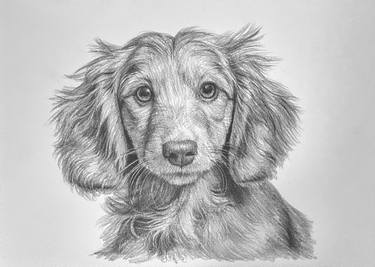 Original Expressionism Animal Drawings by Michał Stetkiewicz 