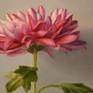 Painting of a Dalia flower