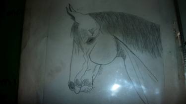 Original Fine Art Animal Drawings by sabrina mejias