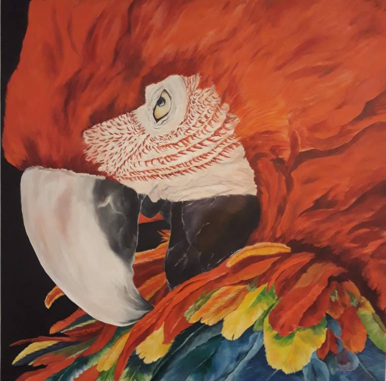 Scarlet Macaw Painting by Susana Yazbek | Saatchi Art