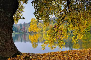 Autumn Leaves thumb