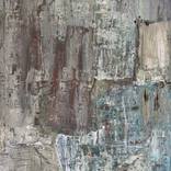 Still Becoming by Paula Langstein