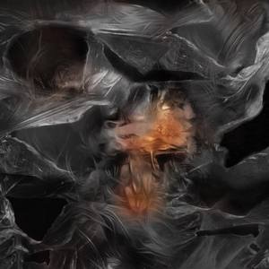 Metamorphosis - Limited Edition of 10