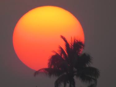 Kochi Sunset Photography #3 thumb