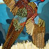 Flushed Pheasant by David Hinds