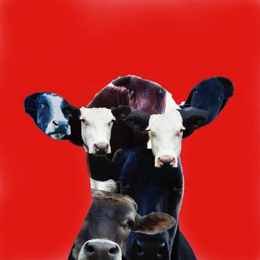 Original Abstract Cows Photography by Bill Westmoreland