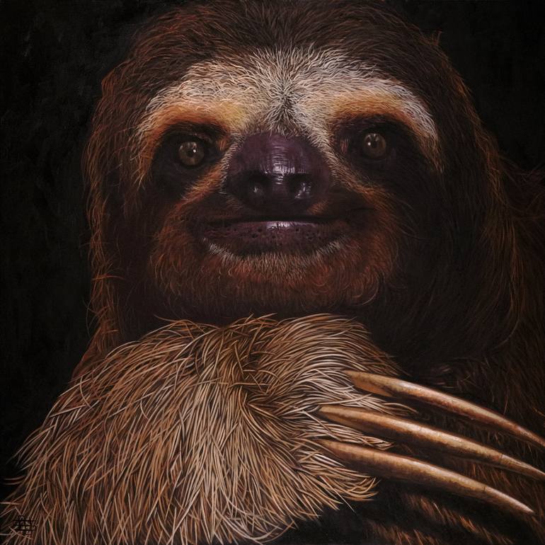 three toed sloth drawing