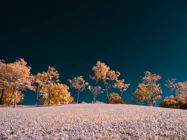 Original Landscape Photography by Christian Camilo