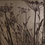 Seedheads, irridescent pearl/brown by Jo Sharpe