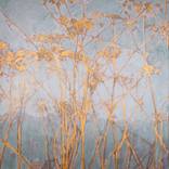 Pale Blue and Shimmering Copper Cowparsely by Jo Sharpe